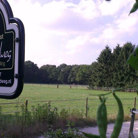 Vakantiehuis "Aan De Zandweg" Roderesch Exterior foto