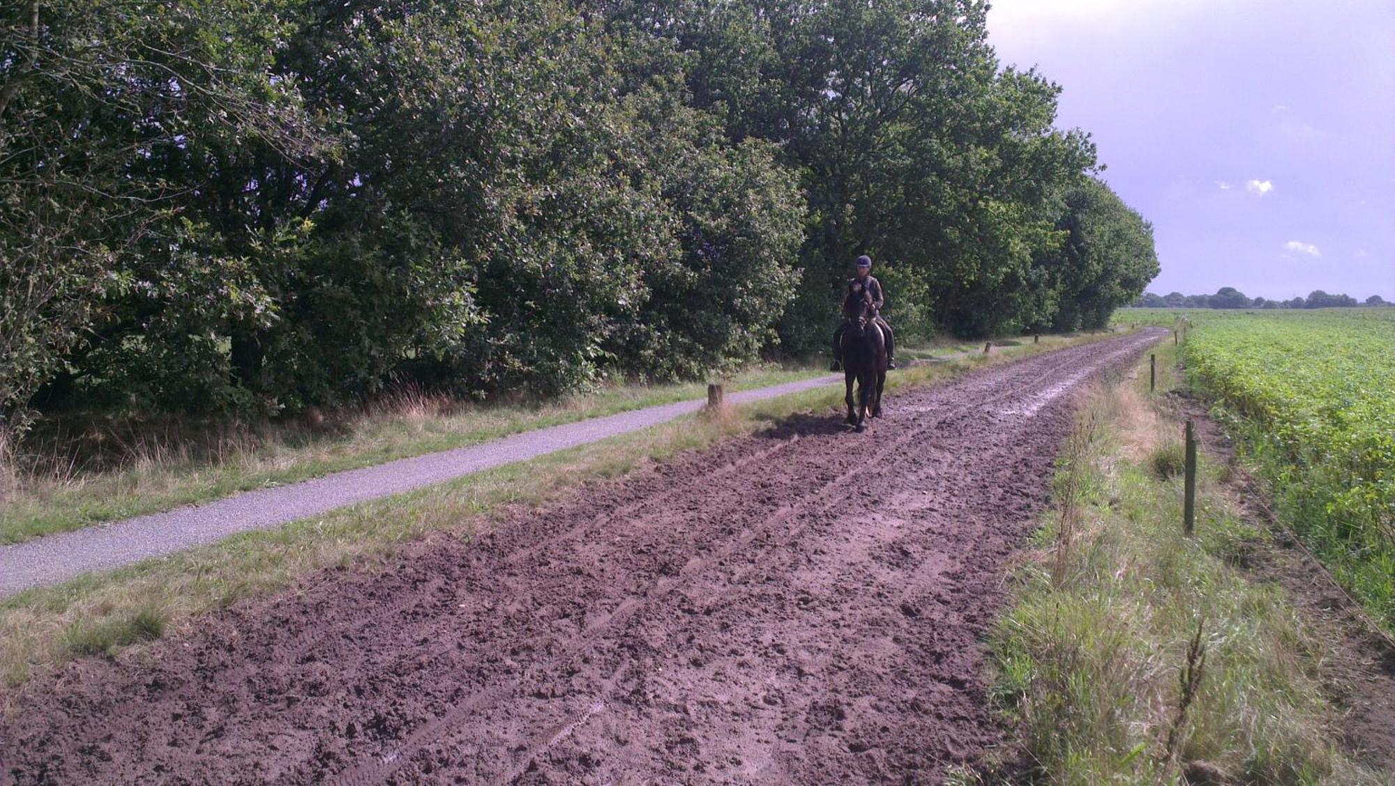 Vakantiehuis "Aan De Zandweg" Roderesch Exterior foto