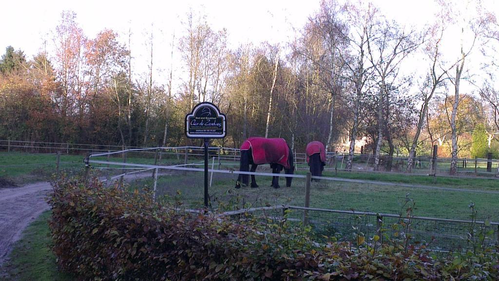 Vakantiehuis "Aan De Zandweg" Roderesch Zimmer foto