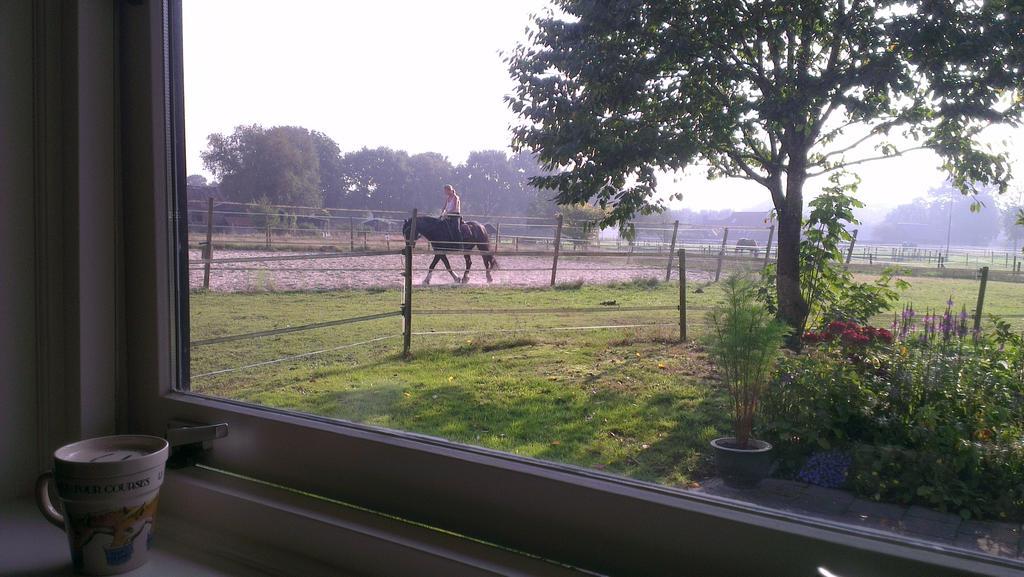Vakantiehuis "Aan De Zandweg" Roderesch Zimmer foto